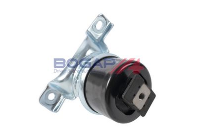BOGAP Variklio montavimas