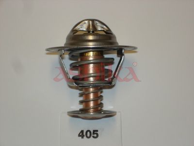 Thermostat, Kühlmittel