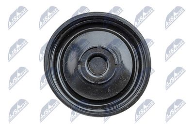 CAPAC CULBUTOR NTY BPZWW000A 3