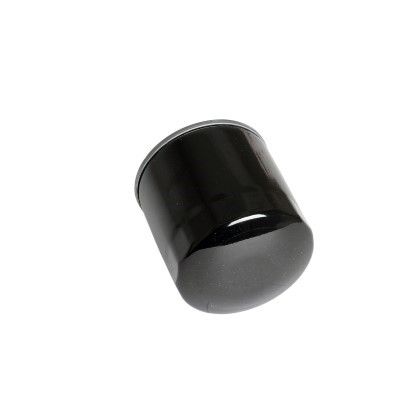 Filtru ulei MTR 12138306