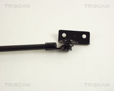 AMORTIZOR PORTBAGAJ KAWE 871043206 2