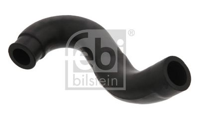 Žarna, karterio alsuoklis