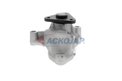 POMPă DE APă RăCIRE MOTOR ACKOJA A520704 49
