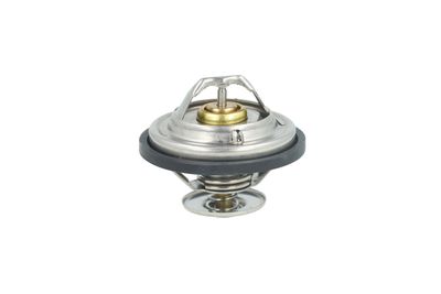 TERMOSTAT LICHID RACIRE NRF 725478 43