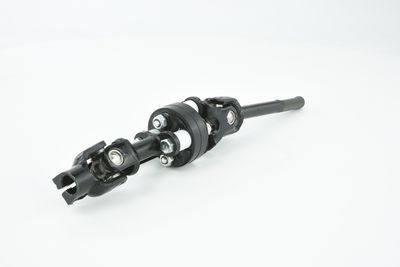 ARBORE DIRECTIE FEBEST ASSZGVSQ 20