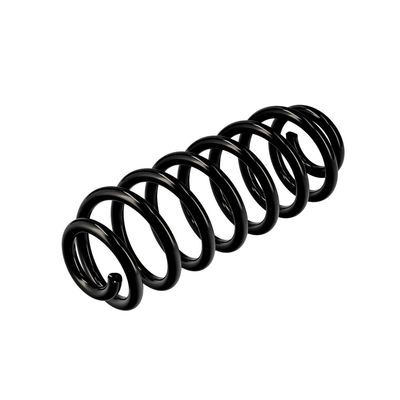 ARC SPIRAL EIBACH R10673 16