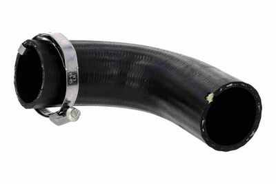 FURTUN EAR SUPRAALIMENTARE ACKOJA A520882 2