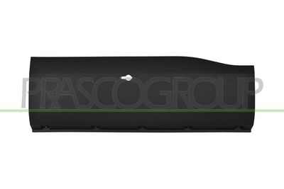 ELEMENTE DECORATIVE/PROTECTIE PORTIERA