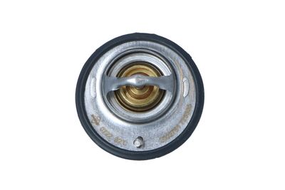 TERMOSTAT LICHID RACIRE NRF 725305 36