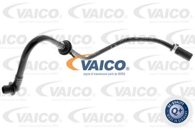 VAICO V10-3604 Вакуумный насос  для AUDI A3 (8L1) 1.6