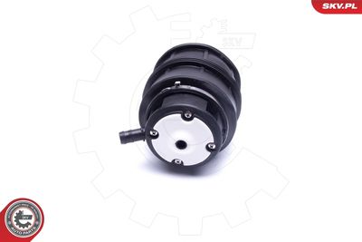 Air Spring, suspension 58SKV058