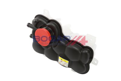 VAS DE EXPANSIUNE RACIRE BOGAP E4240110 6