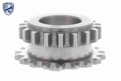 ROATA DINTATA ARBORE COTIT