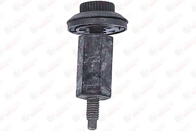 LIMITATOR ACOPERIRE MOTOR BIRTH 80969 12