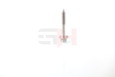 SURUB CAPAT DE AX GH GH391937 21