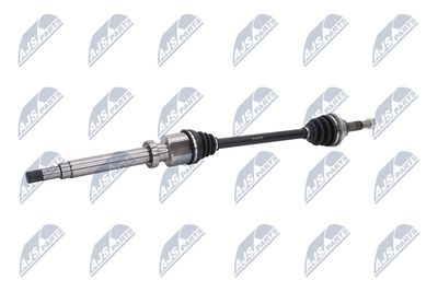 PLANETARA NTY NPWFR034 4