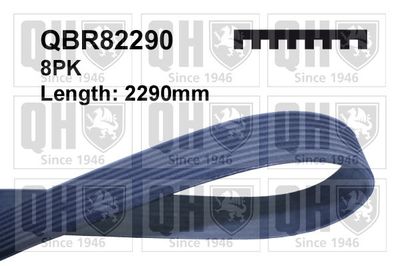 Поликлиновой ремень QUINTON HAZELL QBR82290 для MERCEDES-BENZ GL-CLASS