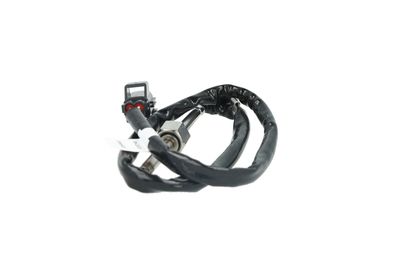 360 Grad Ansicht 2