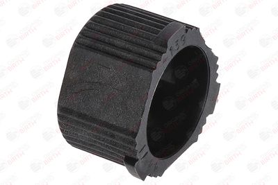 BUCSA ARBORE DE DIRECTIE BIRTH 4139 11