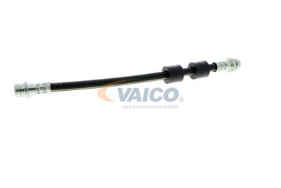 FURTUN FRANA VAICO V251328 32