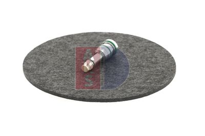 REGELVENTIL KOMPRESSOR AKS DASIS 859020N 12