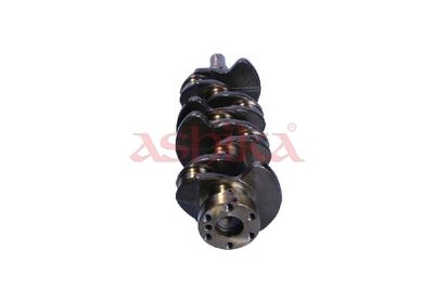 ARBORE COTIT ASHIKA 18MI002 2