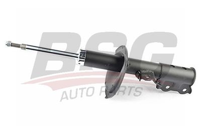 BSG BSG 40-300-059 Амортизаторы  для HYUNDAI i20 I (PB, PBT) 1.4 CRDi