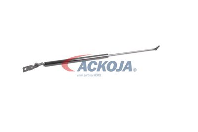 FILTRU AER ACKOJA A320034 56