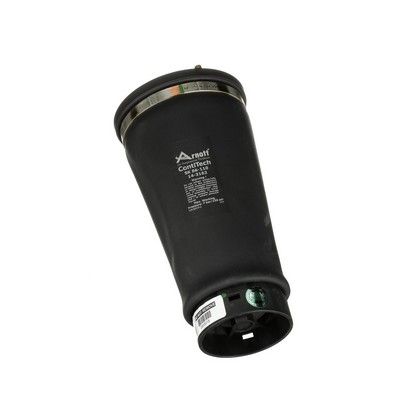 LUFTFEDER FAHRWERK Arnott A2202 57