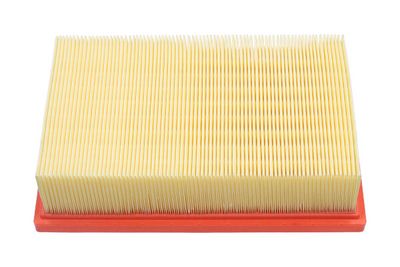 Kavo Parts Oro filtras