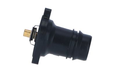 TERMOSTAT LICHID RACIRE NRF 725024 17
