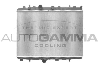 AUTOGAMMA 103971 Крышка радиатора  для PEUGEOT  (Пежо 301)