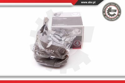 ESEN-SKV 29SKV202 Маточина  для BMW (Бмв)