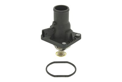 TERMOSTAT LICHID RACIRE