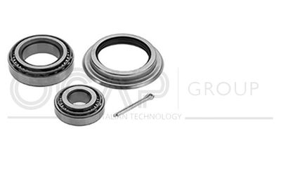 SET RULMENT ROATA OCAP 6120116