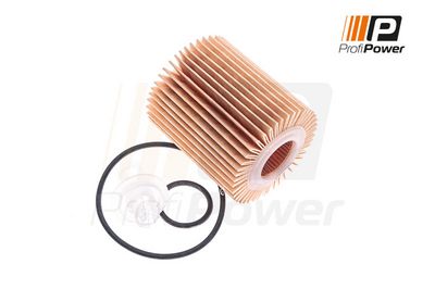 alyvos filtras 1F0050 ProfiPower