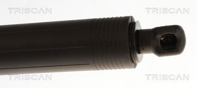 AMORTIZOR PORTBAGAJ TRISCAN 871027315 3