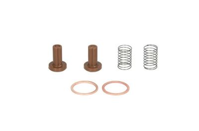 Brandstofpomp reparatieset