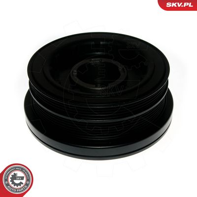 FULIE CUREA ARBORE COTIT ESEN SKV 95SKV315 1