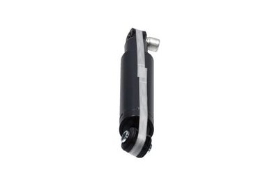AMORTIZOR Kavo Parts SSA10310 2