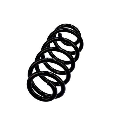 ARC SPIRAL EIBACH R10611 2