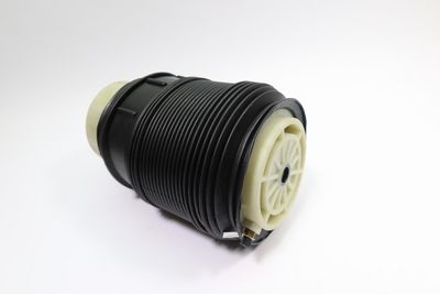 LUFTFEDER FAHRWERK MONROE ASP014 4