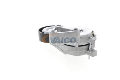 INTINZATOR CUREA CUREA DISTRIBUTIE VAICO V100553 42