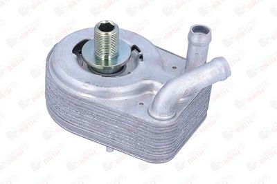 RADIATOR ULEI ULEI MOTOR BIRTH 80822 2