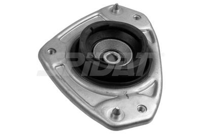 FEDERBEINSTüTZLAGER