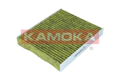 Filter, cabin air 6080085