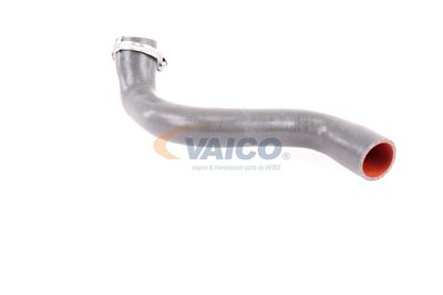 FURTUN EAR SUPRAALIMENTARE VAICO V460823 40