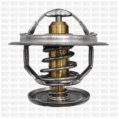 TERMOSTAT LICHID RACIRE QUINTON HAZELL QTH481K 2