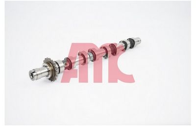 NOCKENWELLE AMC 647254 1