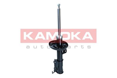 Shock Absorber 2000562